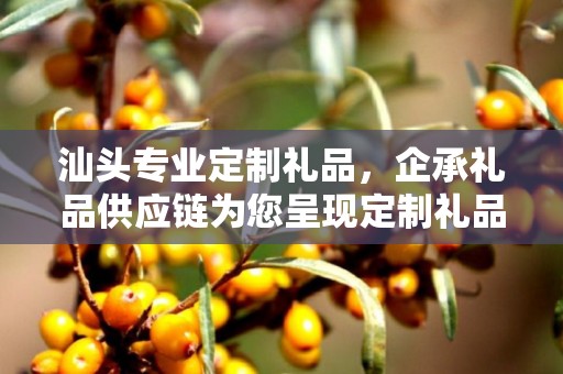 汕头专业定制礼品，企承礼品供应链为您呈现定制礼品的极致体验
