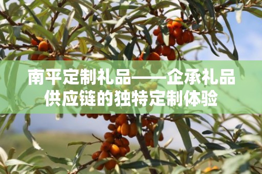 南平定制礼品——企承礼品供应链的独特定制体验