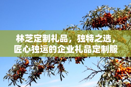 林芝定制礼品，独特之选，匠心独运的企业礼品定制服务